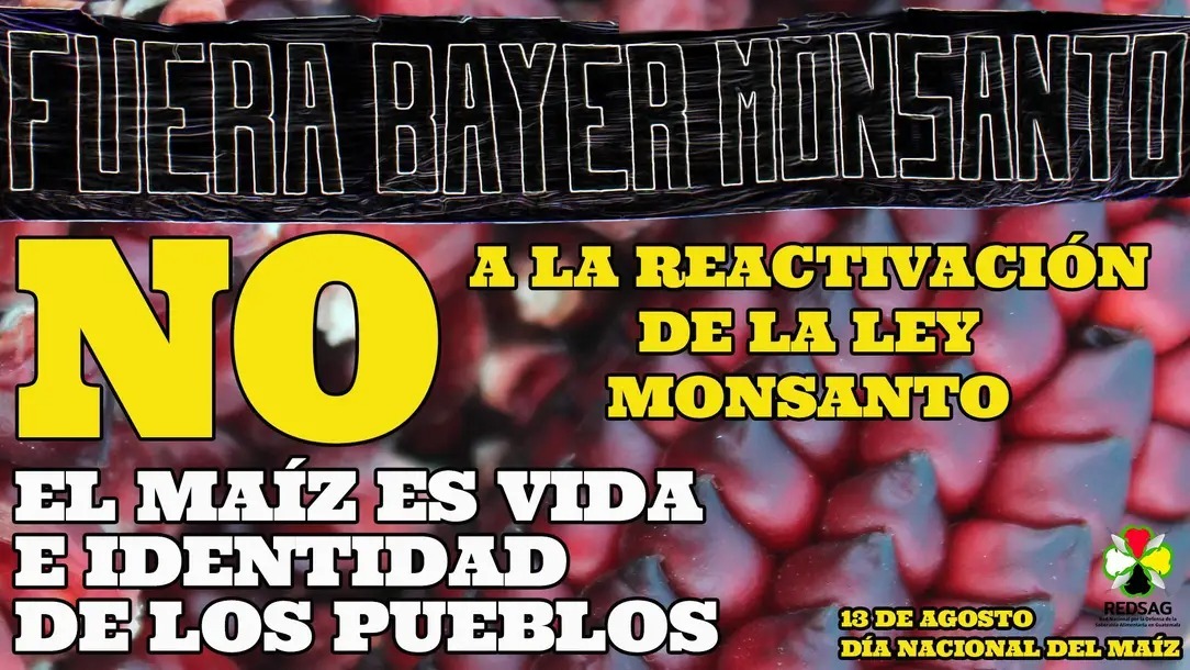 Congreso de Guatemala, otra vez con tu «Ley Monsanto», maldita sea