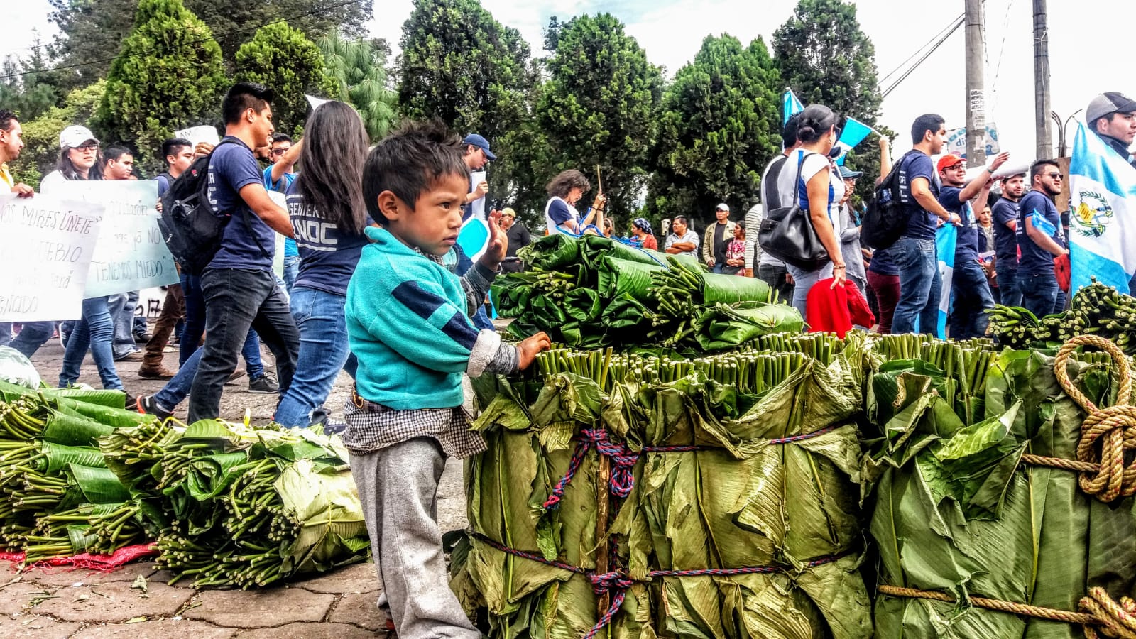 Unidad en la diversidad