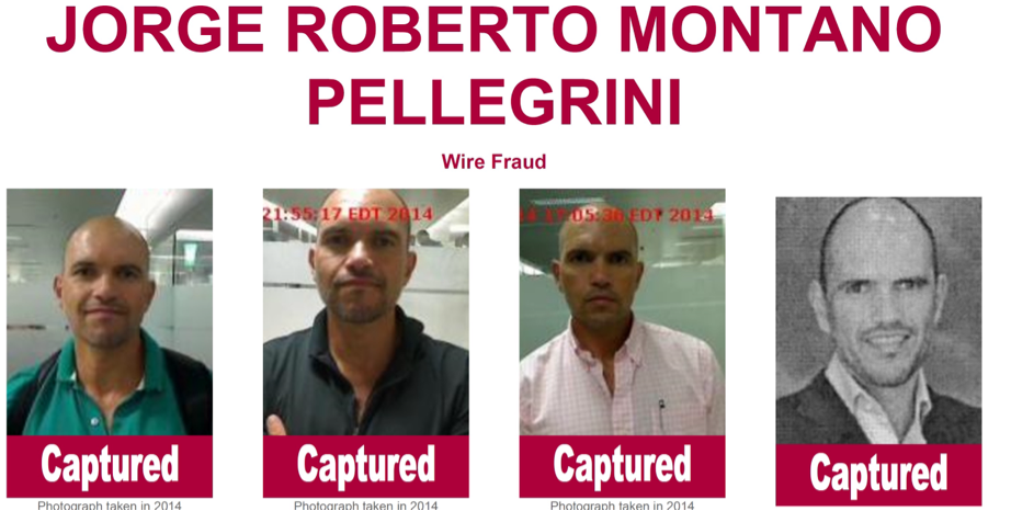 Montano Pellegrini, el caso Génesis y los agronegocios