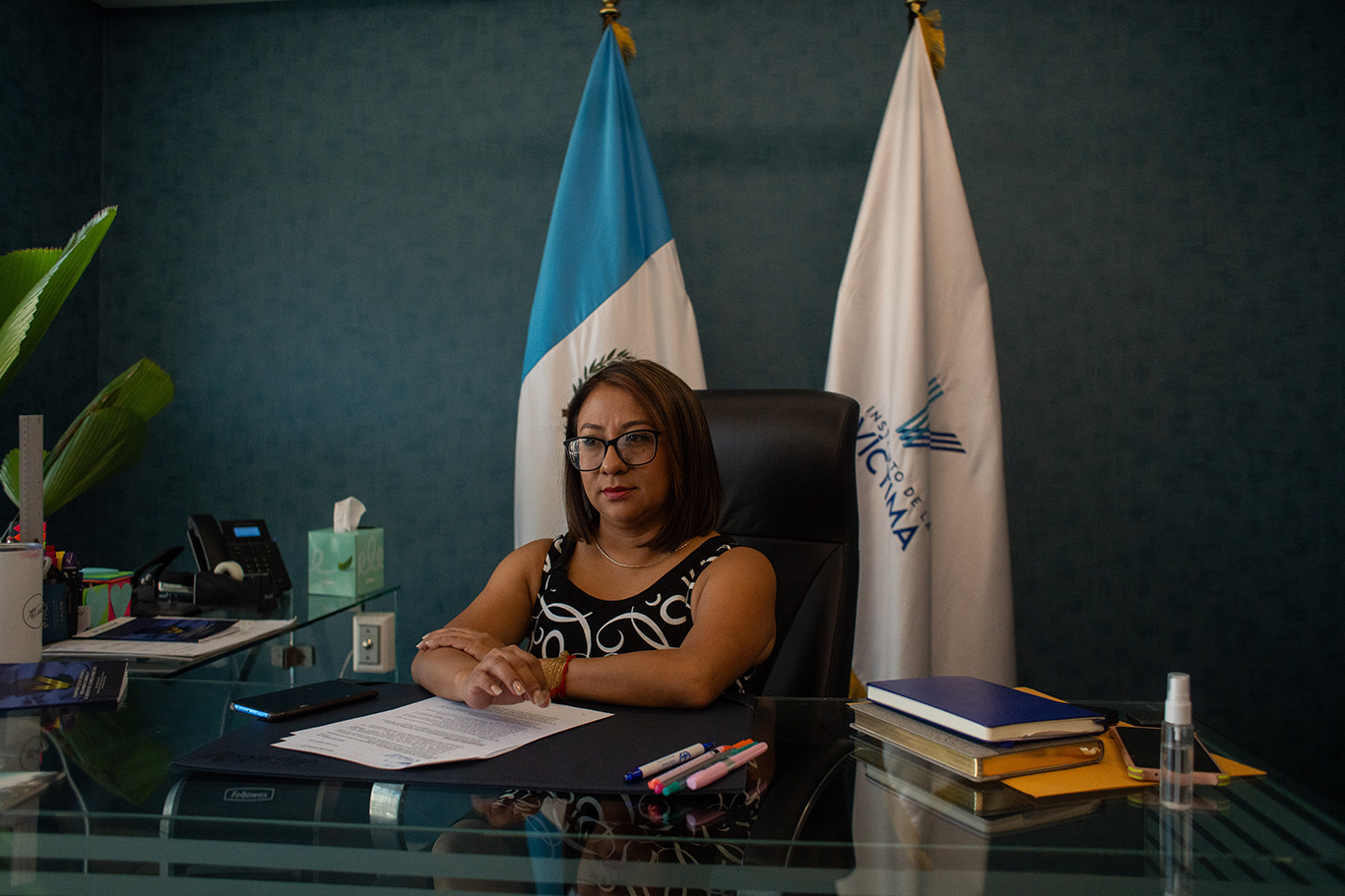 «El objetivo del Instituto es acompañar a las víctimas, para que no se queden solas en la búsqueda de justicia», Ligia Hernández, directora del Instituto de la Víctima