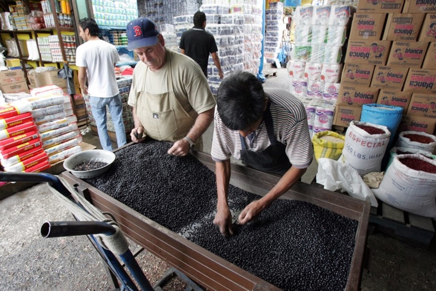 Sin frijol y con inseguridad alimentaria… ¡pero con palma africana!
