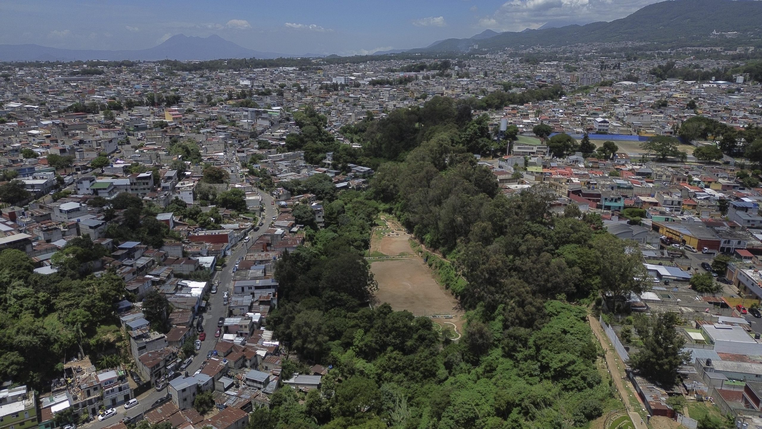 Cambio climático y viaductos amenazan bosques en barrancos