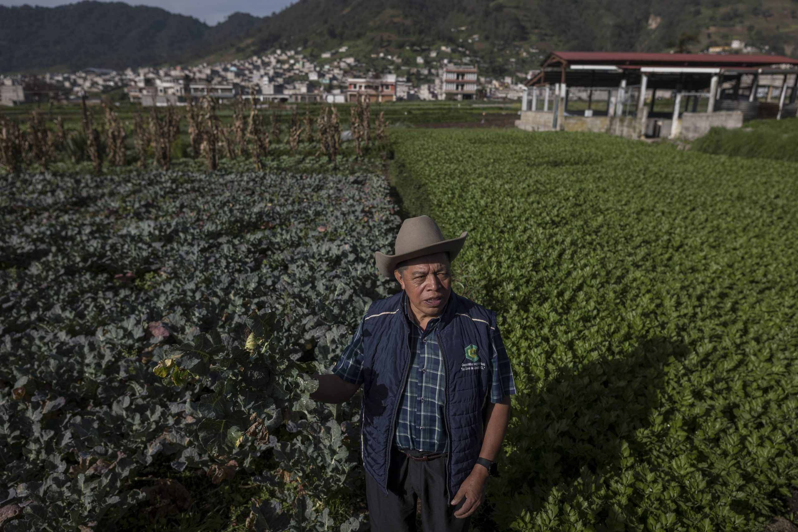 Sobre campesinos y verduras: ¿Qué hacer?