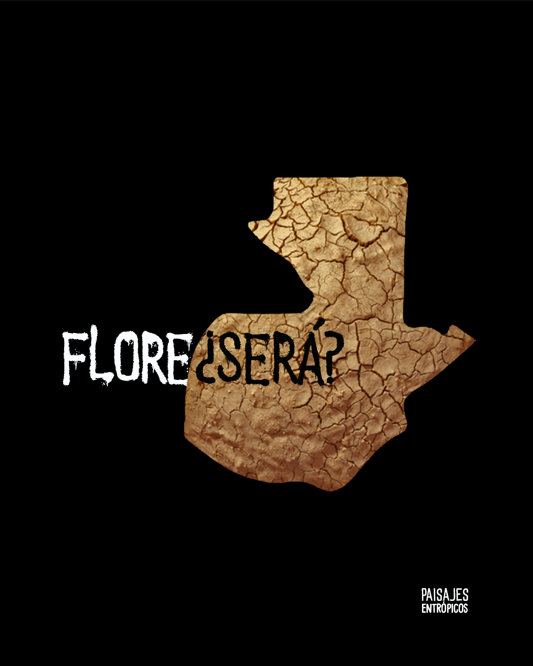 vinetapzp331floresera