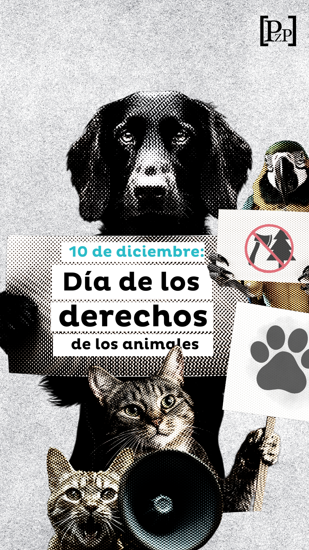 Día de los derechos de los animales