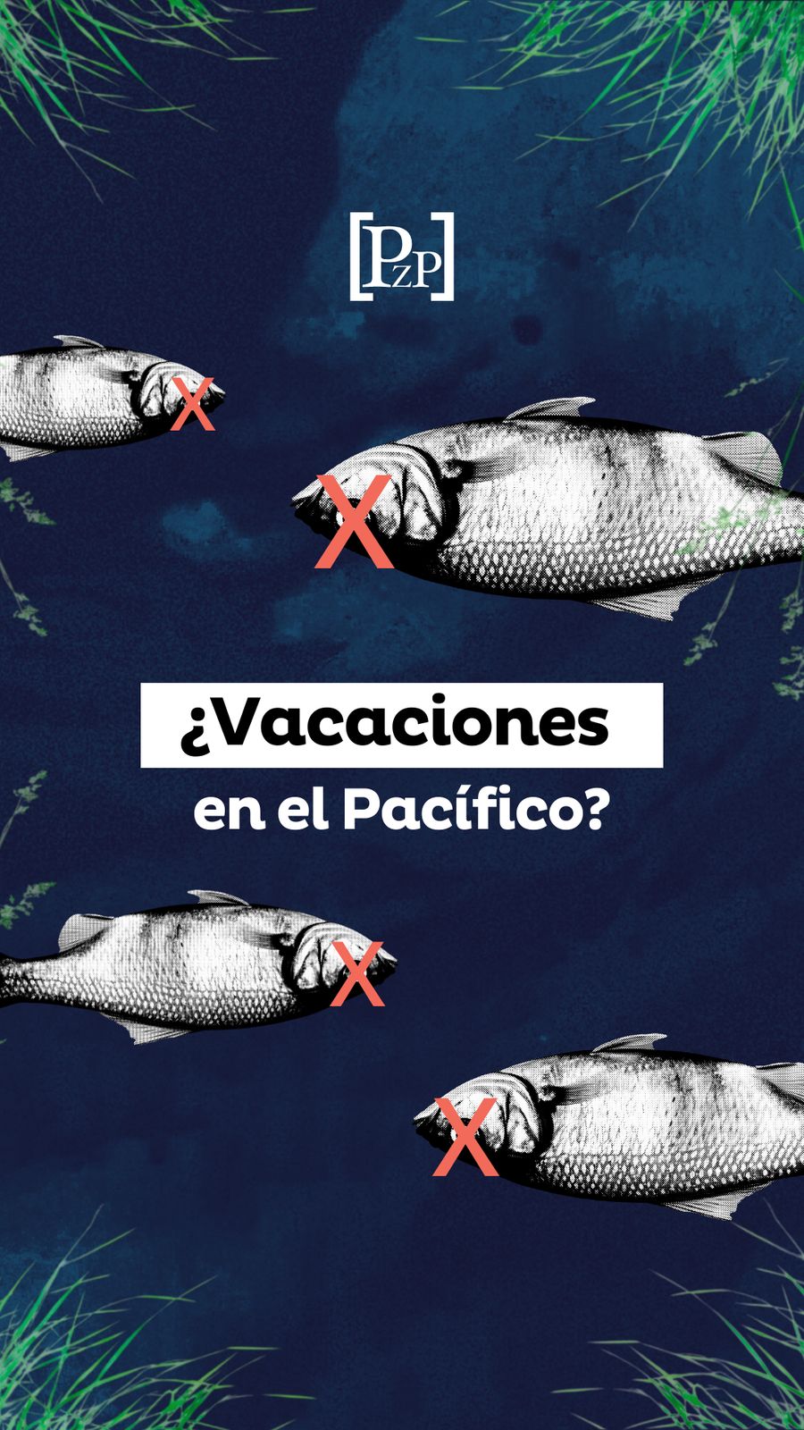 ¿Vacaciones en el Pacífico?