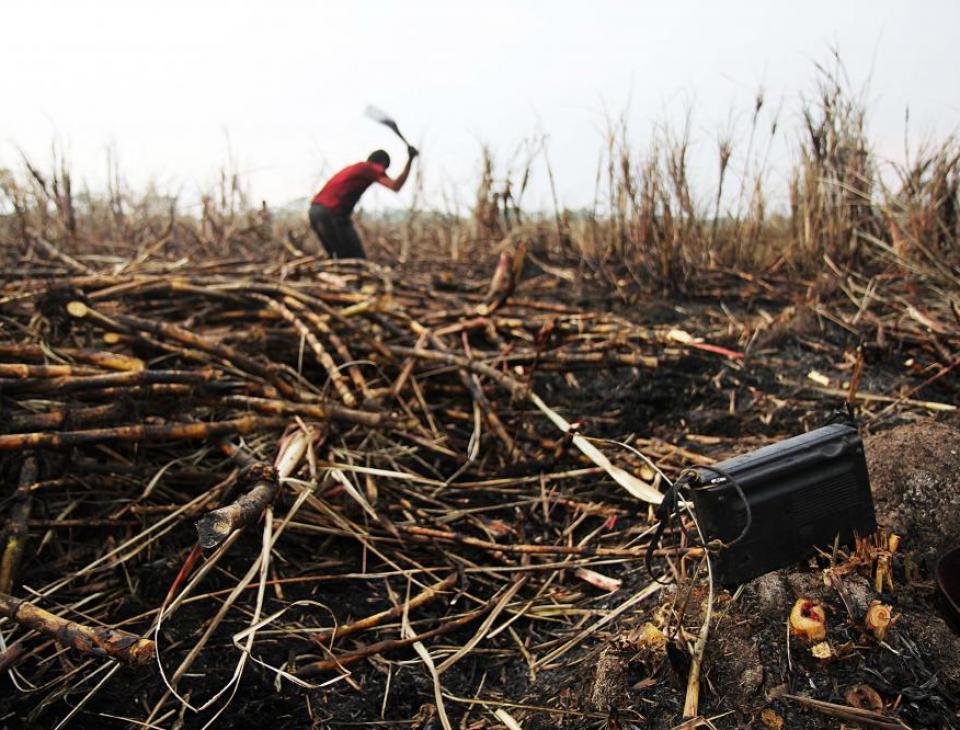 La tierra en disputa: desigualdad, poder y política agraria